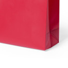 Bolsa de non woven laminado | Bolsa para regalos