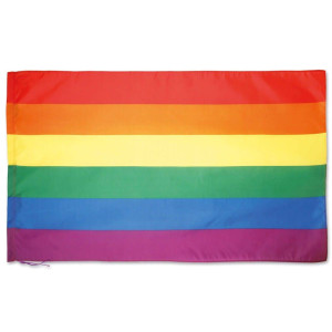 Bandera multicolor LGTB | Bandera Día Orgullo LGTB 2