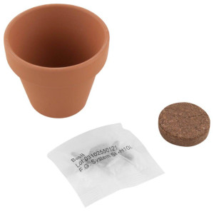Maceta Personalizada | Mini Maceta con Albahaca 2