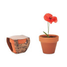 Maceta con Semillas de Amapolas | Regalos Ecológicos