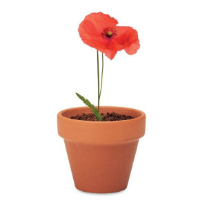 Maceta con Semillas de Amapolas | Regalos Ecológicos 2