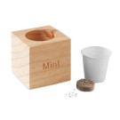 Maceta de Madera con Menta | Regalos ECO