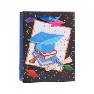 Bolsa de Papel Surtidas para Graduaciones 2