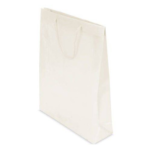 Bolsa de regalo de PVC | Bolsas Económicas Publicitarias