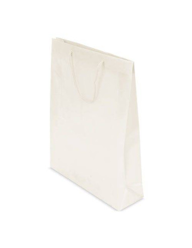 Bolsa de regalo de PVC | Bolsas Económicas Publicitarias