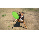 Frisbee plegable