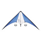 Cometa con Asas |Regalos de Verano para la Playa