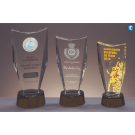 Trofeo Deportivo de Cristal | Premios y Trofeos Personalizados