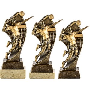 Trofeo de Voleibol | Trofeos Deportivos Personalizados 2