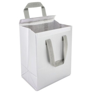 Bolsa Nevera de Doble Aislante| Neveras Personalizadas 2
