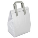 Bolsa Nevera de Doble Aislante| Neveras Personalizadas