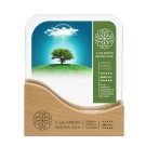 Trofeo Rectangular de Madera y Cristal