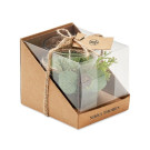 Vela Decorada con Caja de Presentación