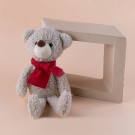 Oso de Peluche con Bufanda Personalizado