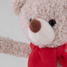 Oso de Peluche con Bufanda Personalizado