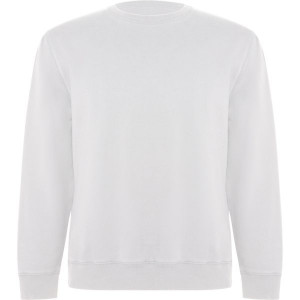 Sudadera algodón orgánico BATIAN 2