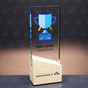 Trofeo de metacrilato con base de madera 2