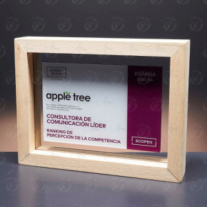 Trofeo de metacrilato con marco de madera 2