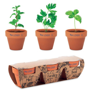 Set de Mini Macetas para REGALO