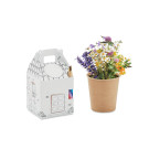 Set de cultivo para niños con lápiz de madera multicolor