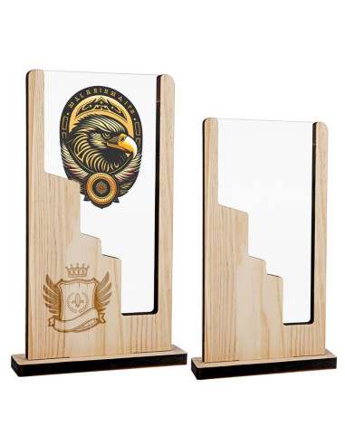 Trofeo rectangular de madera y metacrilato