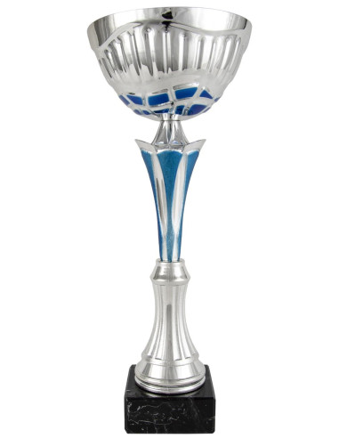 Copa deportiva plateada con detalles azules