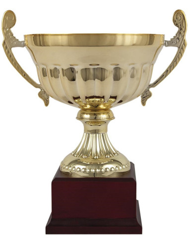 Copa deportiva ensaladera dorada con asas