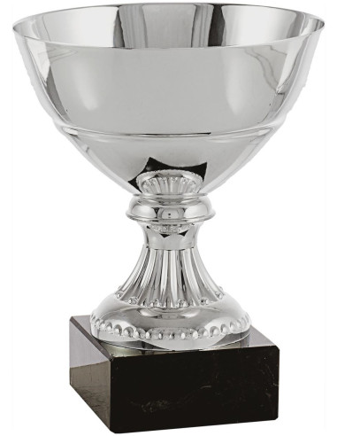 Copa deportiva ensaladera lisa plateada