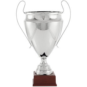 Copa deportiva réplica Champions con base de madera