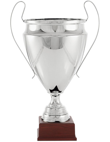 Copa deportiva réplica Champions con base de madera