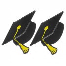 Pin de graduación birrete