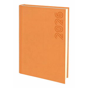 Agenda Diaria TUCSON | Agendas página día con tu logo