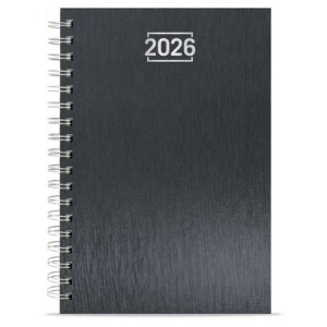 Agenda B5 Metalizada | Agendas Publicitarias de Anillas 2