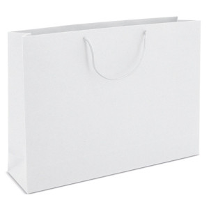 Bolsa de Cartón con Asas | Bolsas para Regalo 2