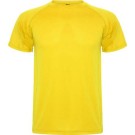 Camiseta técnica Montecarlo