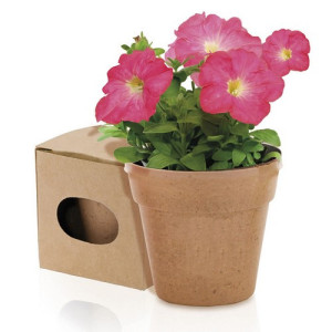 Macetero con semillas | Maceta biodegradable