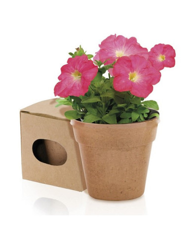 Macetero con semillas | Maceta biodegradable