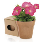 Macetero con semillas | Maceta biodegradable