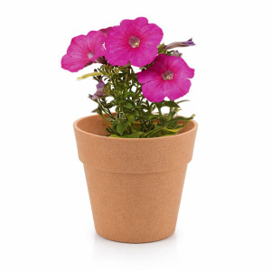 Macetero con semillas | Maceta biodegradable 2