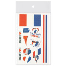 Pack 100 tatuajes temporales de España y otros países