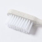 Cepillo de dientes plegable de caña de trigo