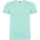 Camiseta de algodón Beagle | Camiseta de algodón de manga corta