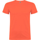 Camiseta de algodón Beagle | Camiseta de algodón de manga corta