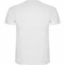 Camiseta técnica Montecarlo | Camiseta deportiva técnica