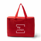 Nevera de RPET familiar 25L