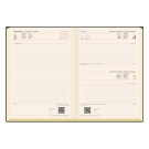 Agenda Diaria TUCSON | Agendas página día con tu logo