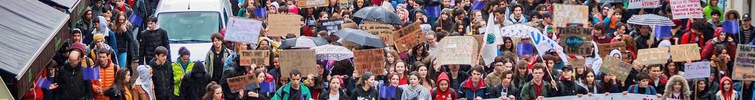 Artículos para Manifestaciones