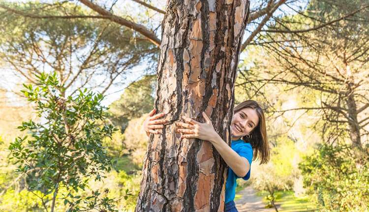 origen del corcho natural