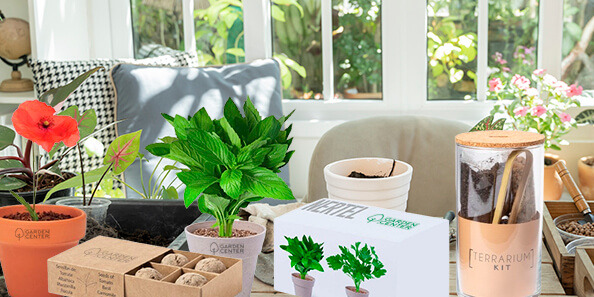 Kit de mini huerto en casa: el regalo eco, personalizado y diferente para marcas responsables