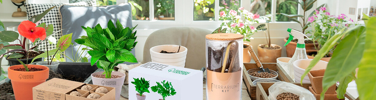 Kit de mini huerto en casa: el regalo eco, personalizado y diferente para marcas responsables